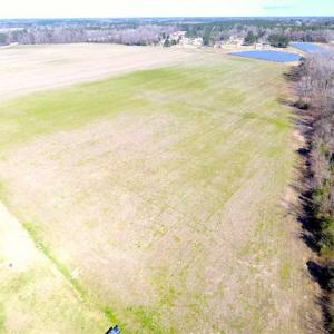 Photo of SOLD!!  67 Acres of Farm and Timber Land For Sale in Robeson County NC!