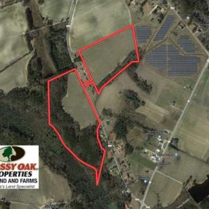 Photo of SOLD!!  67 Acres of Farm and Timber Land For Sale in Robeson County NC!