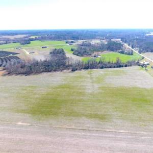 Photo of SOLD!!  67 Acres of Farm and Timber Land For Sale in Robeson County NC!