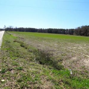 Photo of SOLD!!  67 Acres of Farm and Timber Land For Sale in Robeson County NC!