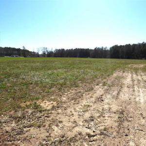 Photo of SOLD!!  67 Acres of Farm and Timber Land For Sale in Robeson County NC!