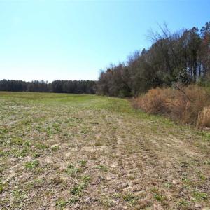 Photo of SOLD!!  67 Acres of Farm and Timber Land For Sale in Robeson County NC!