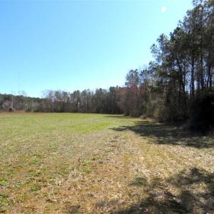 Photo of SOLD!!  67 Acres of Farm and Timber Land For Sale in Robeson County NC!