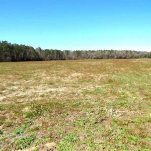 Photo of SOLD!!  67 Acres of Farm and Timber Land For Sale in Robeson County NC!