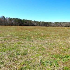 Photo of SOLD!!  67 Acres of Farm and Timber Land For Sale in Robeson County NC!