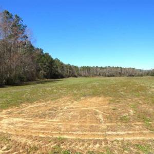 Photo of SOLD!!  67 Acres of Farm and Timber Land For Sale in Robeson County NC!