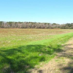 Photo of SOLD!!  67 Acres of Farm and Timber Land For Sale in Robeson County NC!