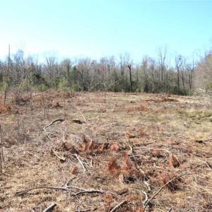 Photo of SOLD!!  44.73 Acres of Hunting and Residential Land For Sale in Columbus County NC!