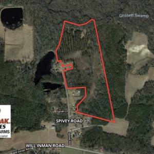 Photo of SOLD!!  44.73 Acres of Hunting and Residential Land For Sale in Columbus County NC!