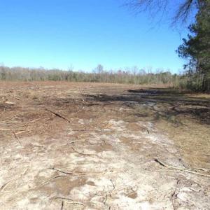 Photo of SOLD!!  44.73 Acres of Hunting and Residential Land For Sale in Columbus County NC!