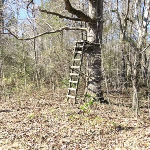 Photo of SOLD!!  44.73 Acres of Hunting and Residential Land For Sale in Columbus County NC!