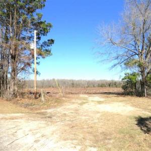 Photo of SOLD!!  44.73 Acres of Hunting and Residential Land For Sale in Columbus County NC!