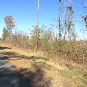 Photo of SOLD!!  44.73 Acres of Hunting and Residential Land For Sale in Columbus County NC!