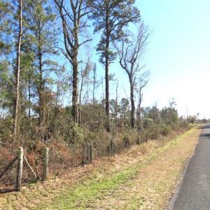 Photo of SOLD!!  44.73 Acres of Hunting and Residential Land For Sale in Columbus County NC!