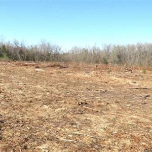 Photo of SOLD!!  44.73 Acres of Hunting and Residential Land For Sale in Columbus County NC!