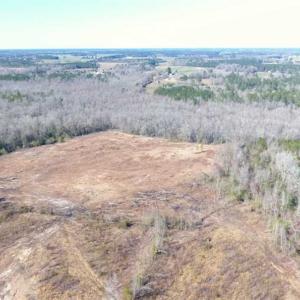 Photo of SOLD!!  44.73 Acres of Hunting and Residential Land For Sale in Columbus County NC!