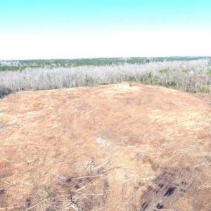 Photo of SOLD!!  44.73 Acres of Hunting and Residential Land For Sale in Columbus County NC!