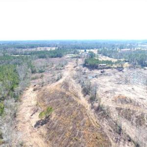 Photo of SOLD!!  44.73 Acres of Hunting and Residential Land For Sale in Columbus County NC!
