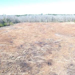 Photo of SOLD!!  44.73 Acres of Hunting and Residential Land For Sale in Columbus County NC!