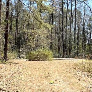 Photo of REDUCED!  +/- 2.30 Acres of Residential Land For Sale in Columbus County NC!