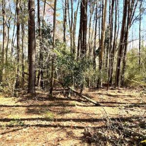 Photo of REDUCED!  +/- 2.30 Acres of Residential Land For Sale in Columbus County NC!