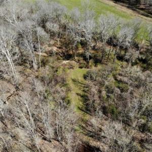 Photo of SOLD!!  30.39 Acres of Residential and Hunting Land with Home in Mecklenburg County VA!