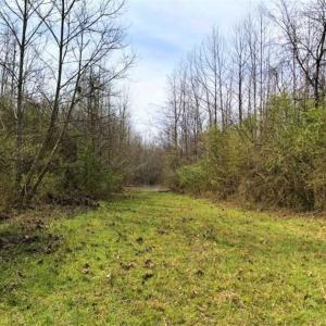 Photo of SOLD!!  30.39 Acres of Residential and Hunting Land with Home in Mecklenburg County VA!