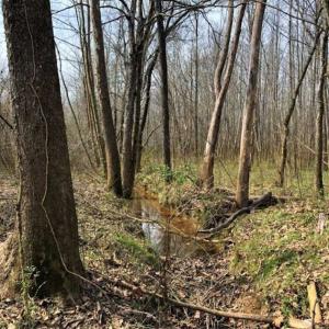 Photo of SOLD!!  30.39 Acres of Residential and Hunting Land with Home in Mecklenburg County VA!