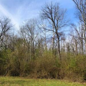 Photo of SOLD!!  30.39 Acres of Residential and Hunting Land with Home in Mecklenburg County VA!