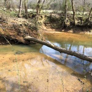 Photo of SOLD!!  30.39 Acres of Residential and Hunting Land with Home in Mecklenburg County VA!