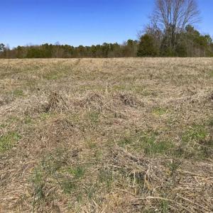 Photo of SOLD!!  32.19 Acres of Farm Land For Sale in Granville County NC!