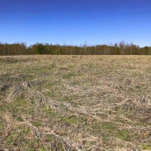Photo of SOLD!!  32.19 Acres of Farm Land For Sale in Granville County NC!