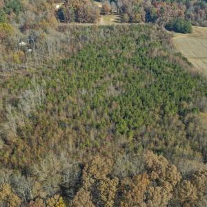 Photo of SOLD!!  32.19 Acres of Farm Land For Sale in Granville County NC!