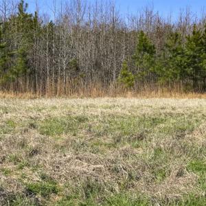 Photo of SOLD!!  32.19 Acres of Farm Land For Sale in Granville County NC!