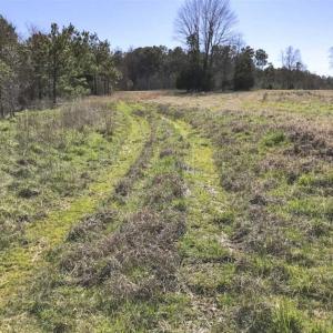Photo of SOLD!!  32.19 Acres of Farm Land For Sale in Granville County NC!