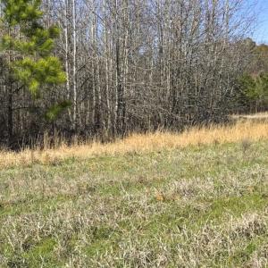 Photo of SOLD!!  32.19 Acres of Farm Land For Sale in Granville County NC!