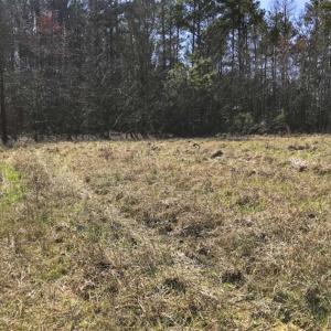 Photo of SOLD!!  32.19 Acres of Farm Land For Sale in Granville County NC!