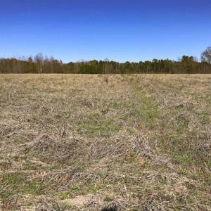 Photo of SOLD!!  32.19 Acres of Farm Land For Sale in Granville County NC!