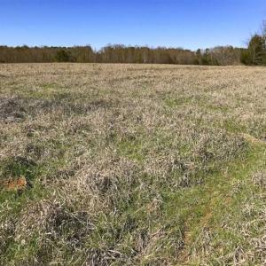 Photo of SOLD!!  32.19 Acres of Farm Land For Sale in Granville County NC!