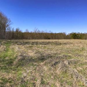 Photo of SOLD!!  32.19 Acres of Farm Land For Sale in Granville County NC!