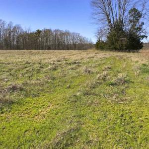 Photo of SOLD!!  32.19 Acres of Farm Land For Sale in Granville County NC!