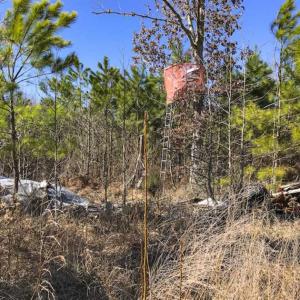 Photo of SOLD!!  32.19 Acres of Farm Land For Sale in Granville County NC!