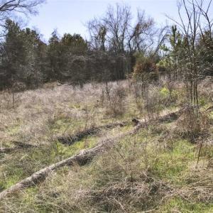 Photo of SOLD!!  32.19 Acres of Farm Land For Sale in Granville County NC!