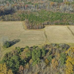 Photo of SOLD!!  32.19 Acres of Farm Land For Sale in Granville County NC!