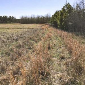 Photo of SOLD!!  32.19 Acres of Farm Land For Sale in Granville County NC!