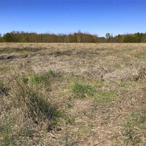 Photo of SOLD!!  32.19 Acres of Farm Land For Sale in Granville County NC!