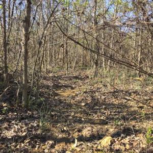 Photo of SOLD!!  32.19 Acres of Farm Land For Sale in Granville County NC!