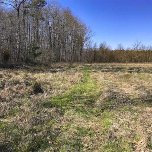 Photo of SOLD!!  32.19 Acres of Farm Land For Sale in Granville County NC!