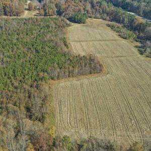 Photo of SOLD!!  32.19 Acres of Farm Land For Sale in Granville County NC!
