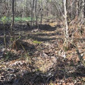 Photo of SOLD!!  32.19 Acres of Farm Land For Sale in Granville County NC!